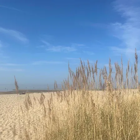 Haus Nordseebrandung A1 2 公寓 库克斯港